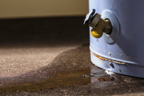 Best Professional water damage repair  in Amboy, WA