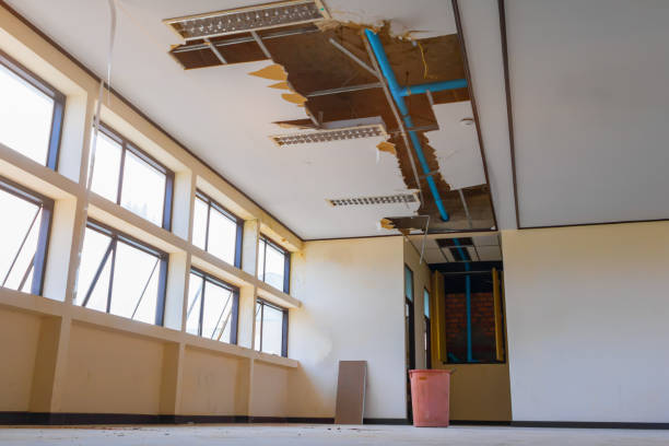 Best Mold removal after water damage  in Amboy, WA