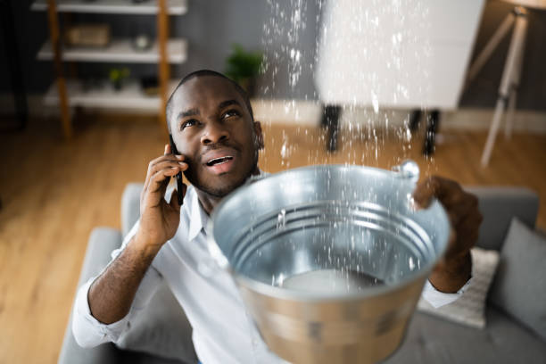 Best Water damage restoration experts  in Amboy, WA
