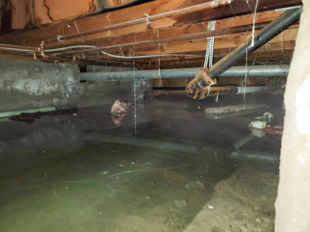Best 24/7 water damage repair  in Amboy, WA