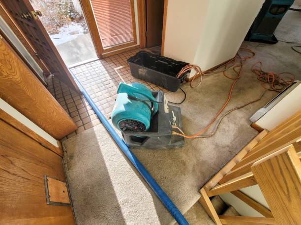 Best 24-hour water damage restoration  in Amboy, WA