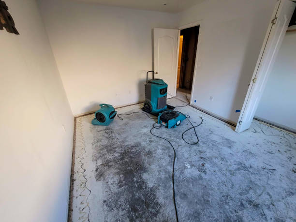 Best Sewage cleanup and water damage restoration  in Amboy, WA