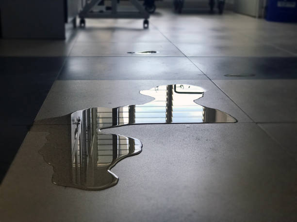Best 24-hour water damage restoration  in Amboy, WA