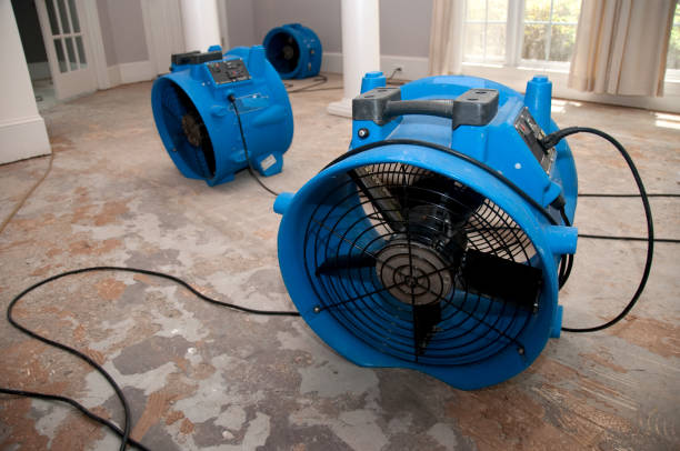 Best Flood damage cleanup  in Amboy, WA