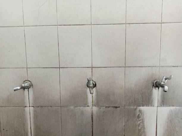 Best Ceiling water damage repair  in Amboy, WA